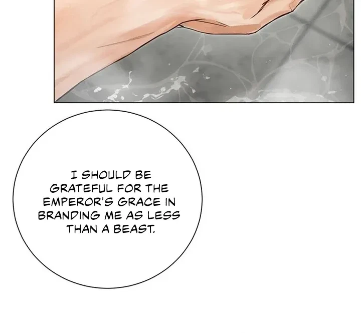 Chapter 2, page 23