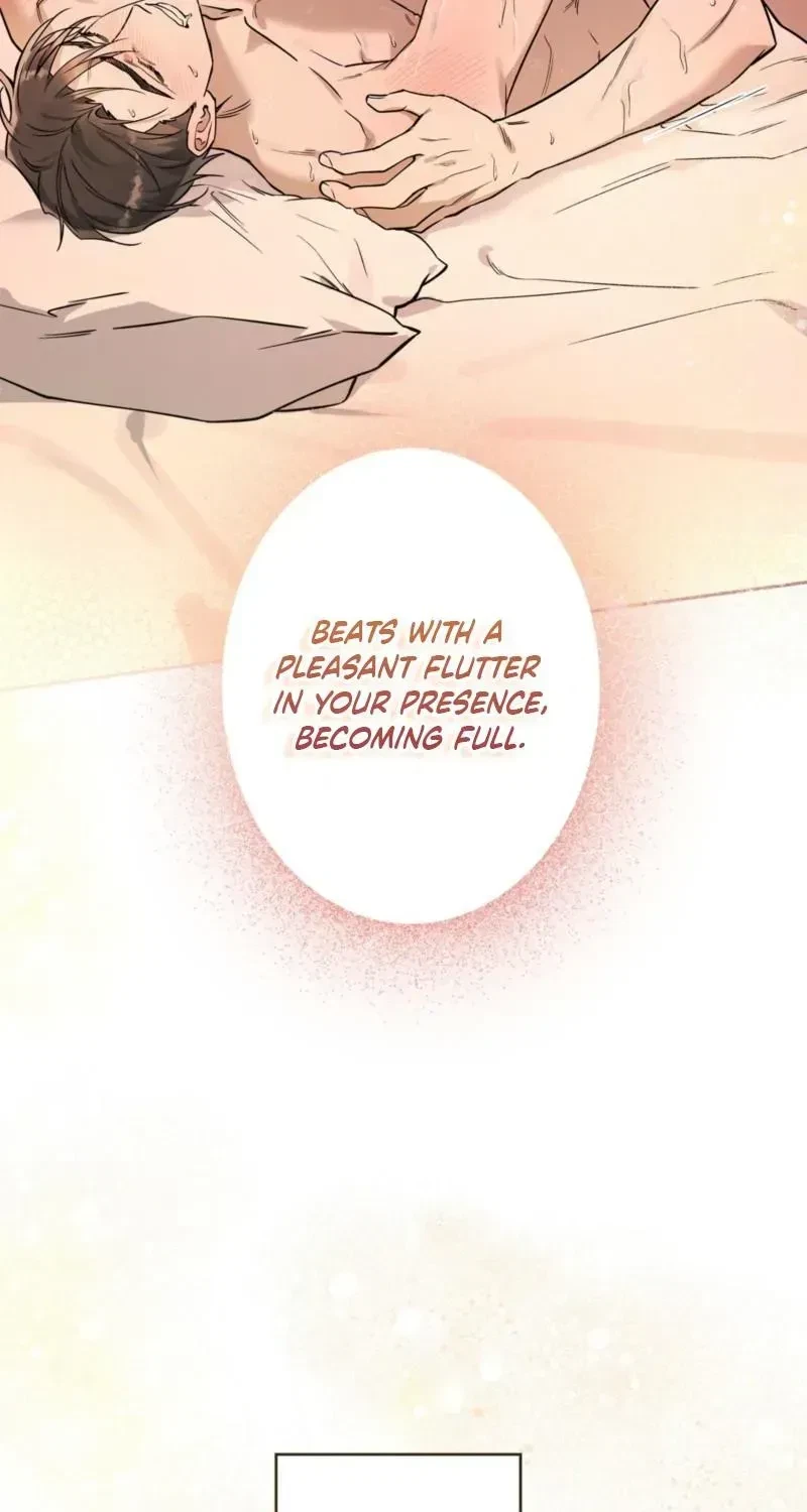 Chapter 1.1, page 13