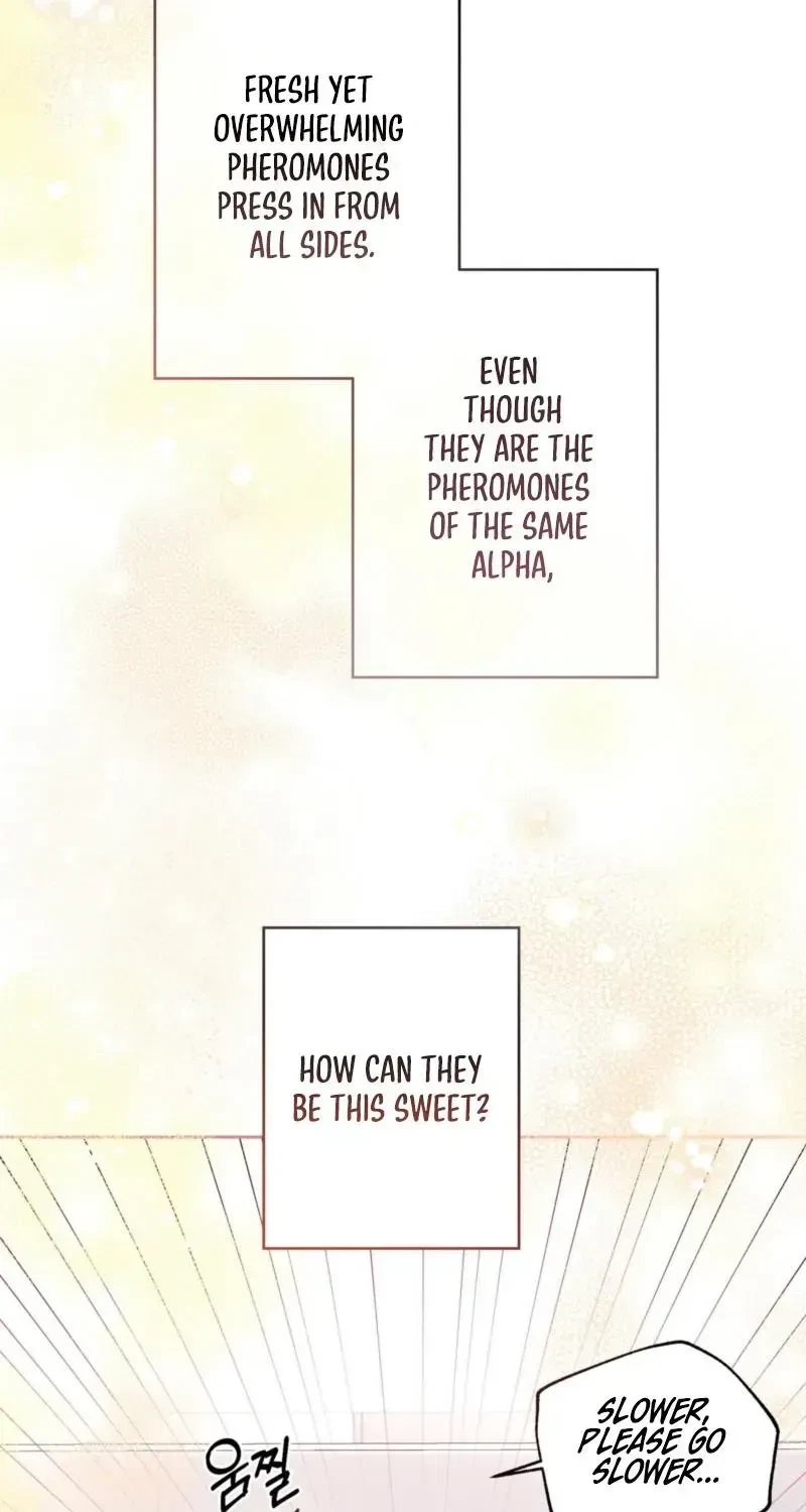 Chapter 1.1, page 4