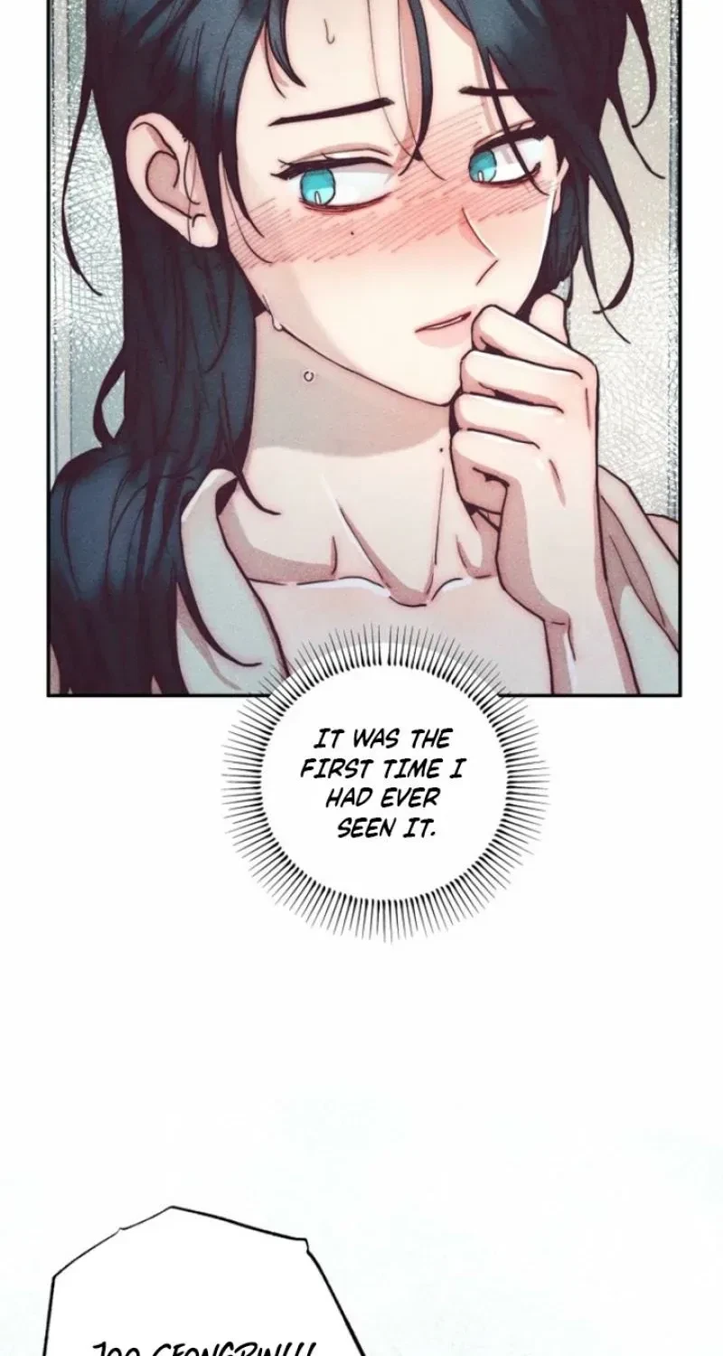 Chapter 2, page 31