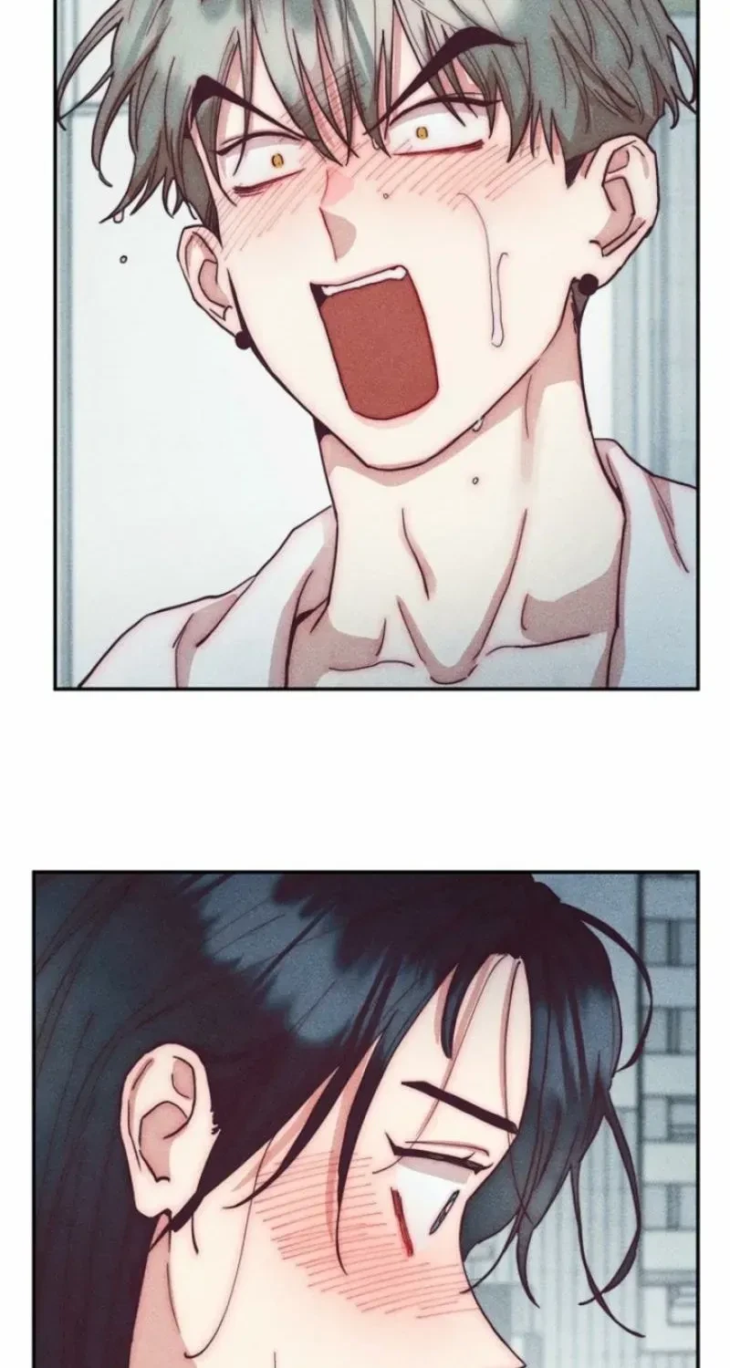 Chapter 2, page 38