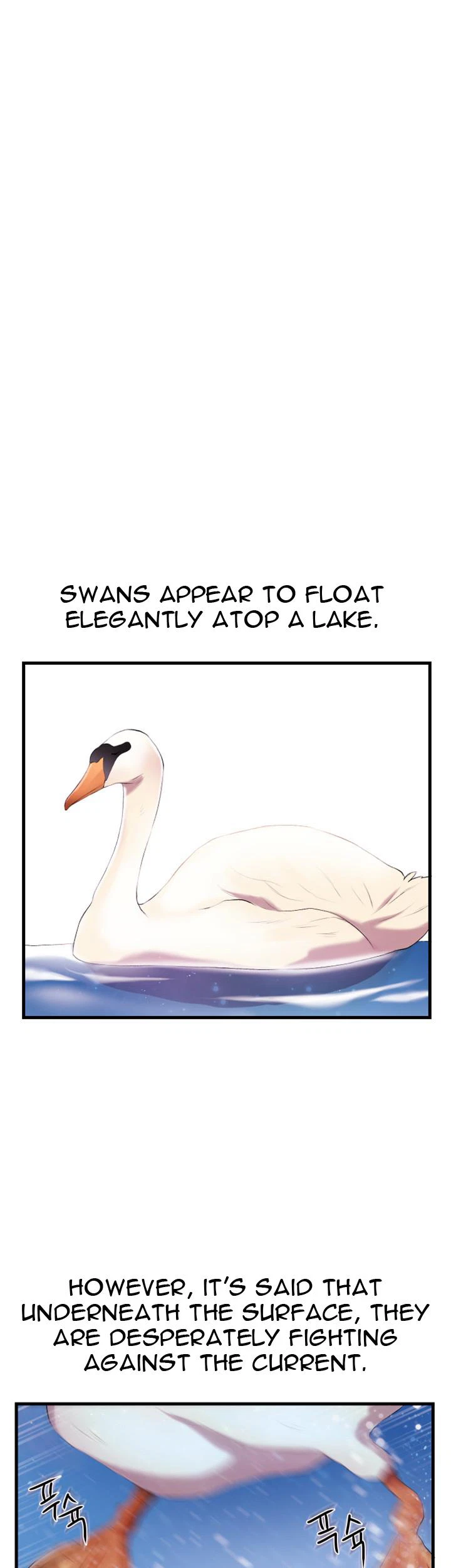 Chapter 1, page 22