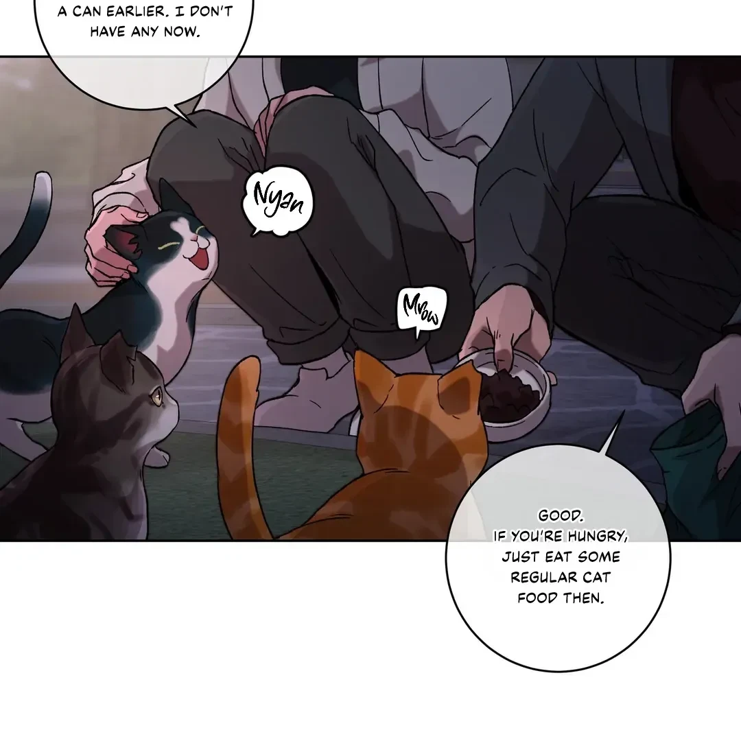 Chapter 3, page 13