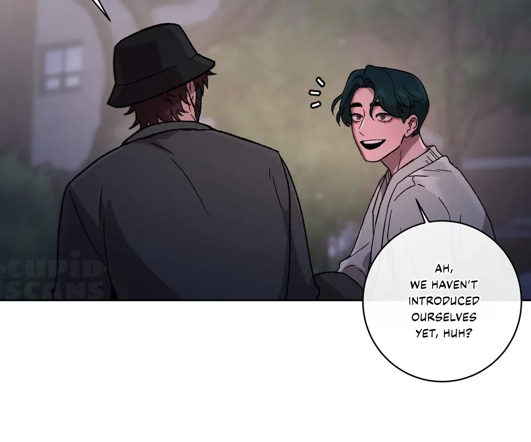Chapter 3, page 17