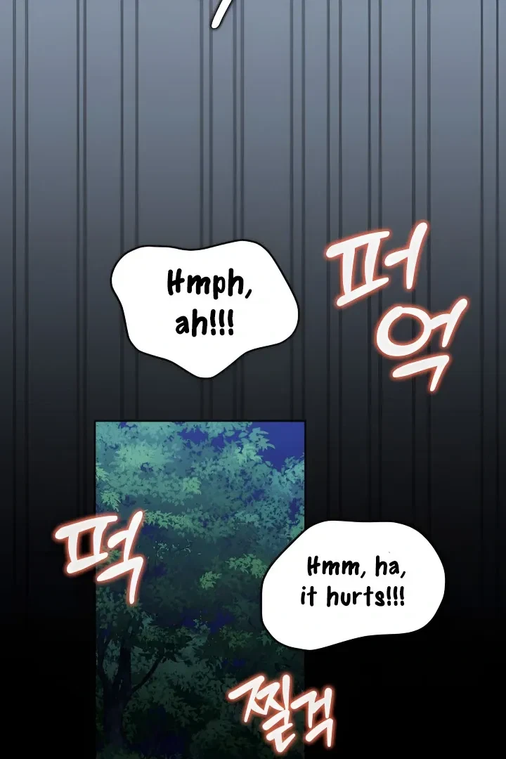 Chapter 2, page 100