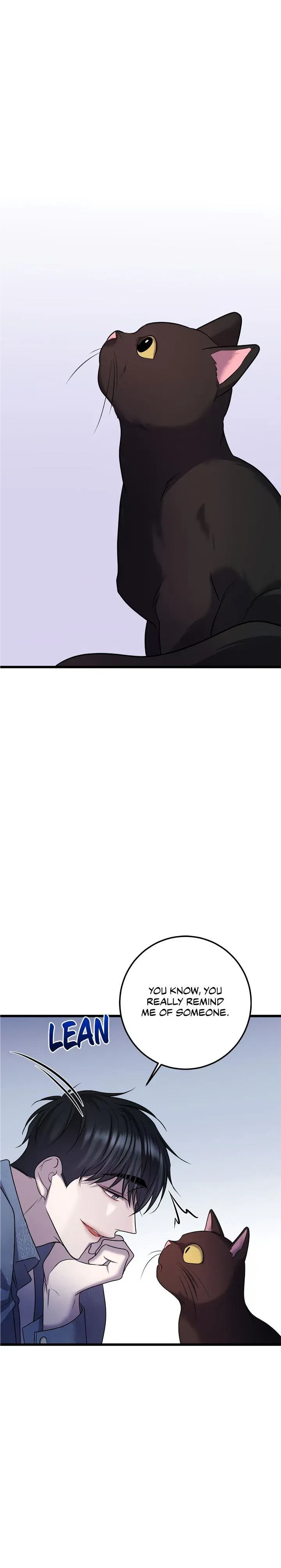 Chapter 57, page 17