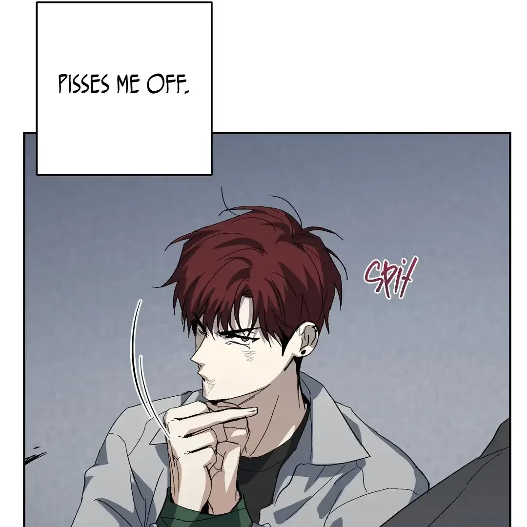 Chapter 2, page 102