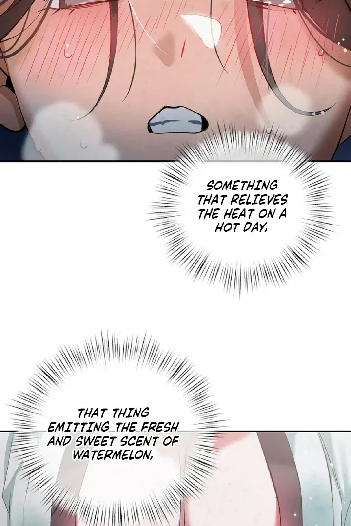 Chapter 4, page 33
