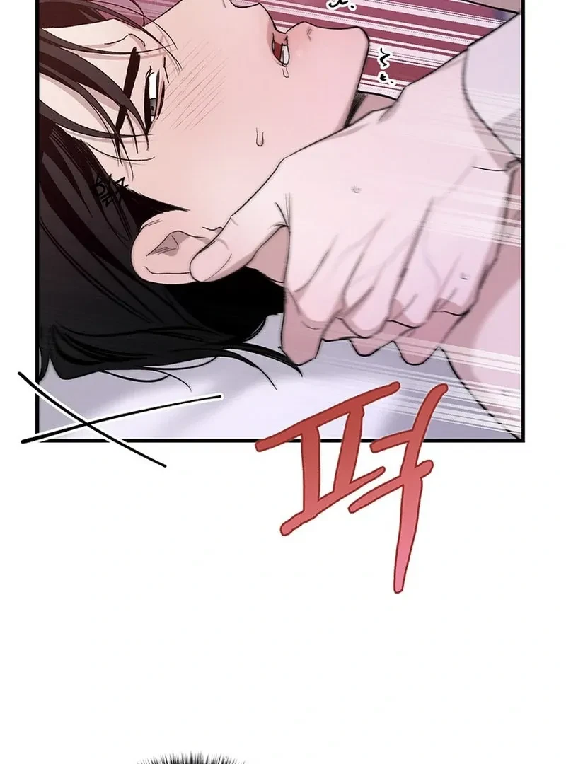 Chapter 3, page 95