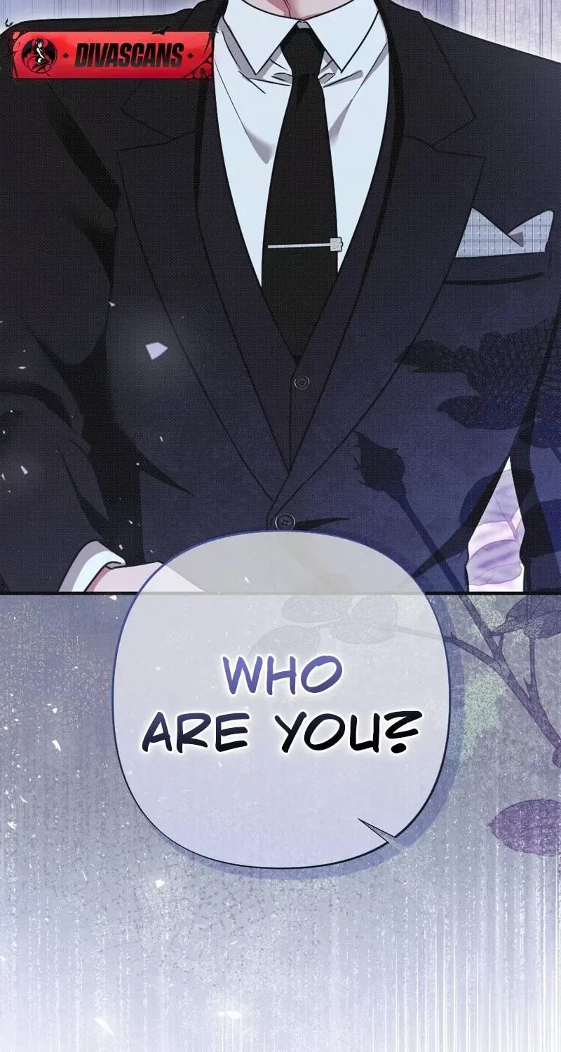 Chapter 2, page 96