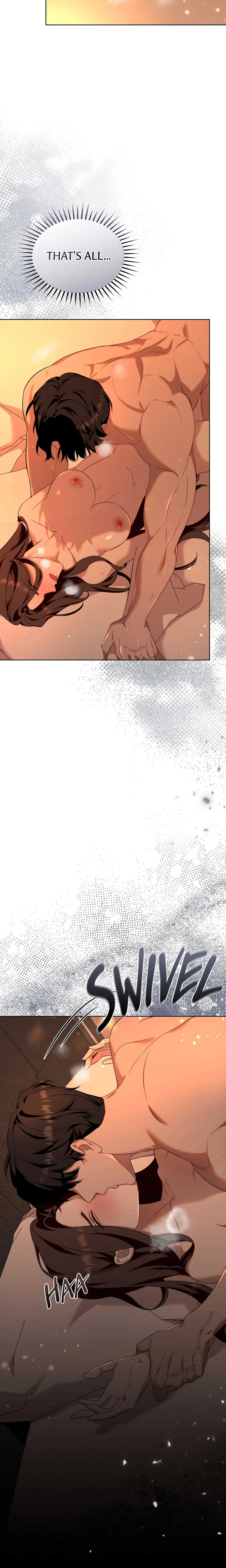 Chapter 1, page 13