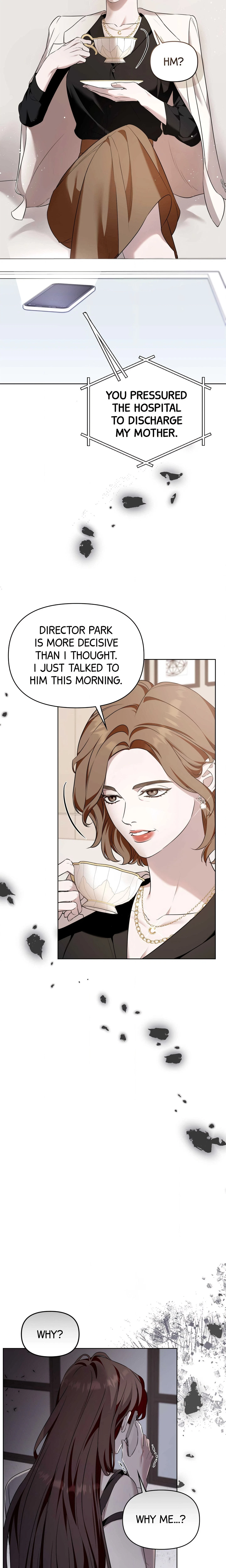 Chapter 1, page 19