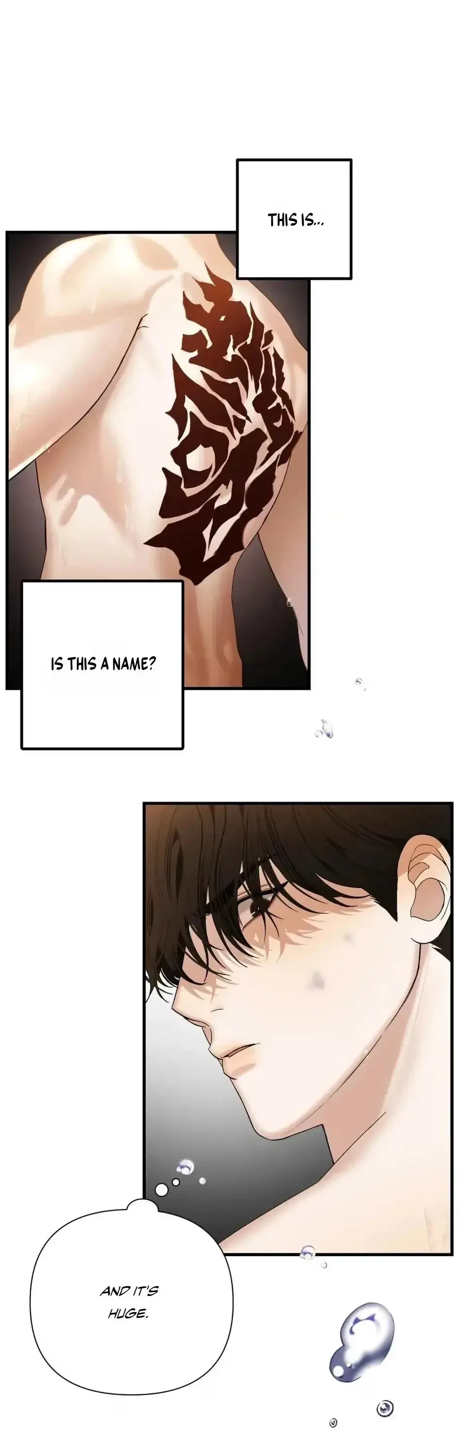 Chapter 2, page 32