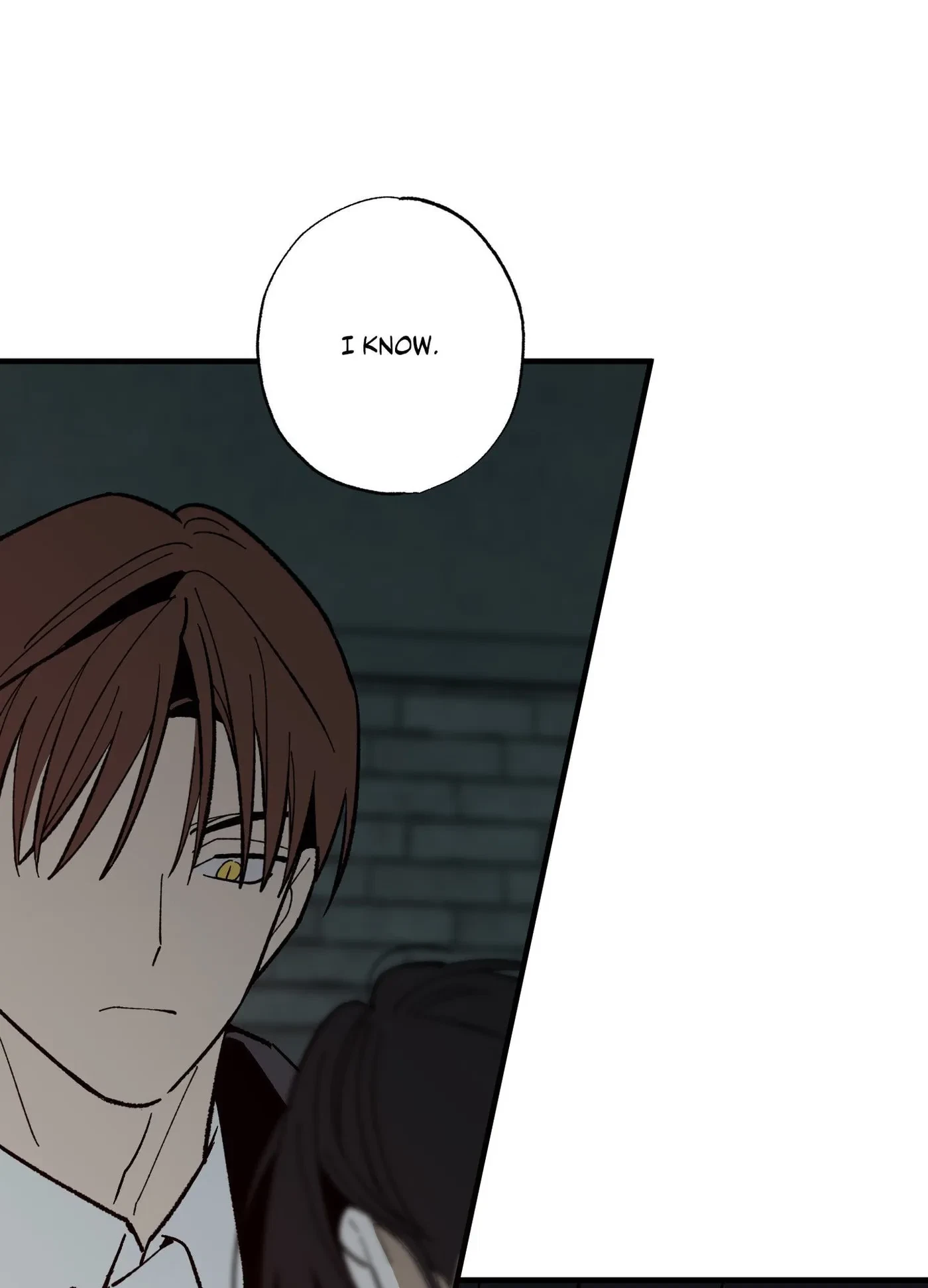 Chapter 20, page 80