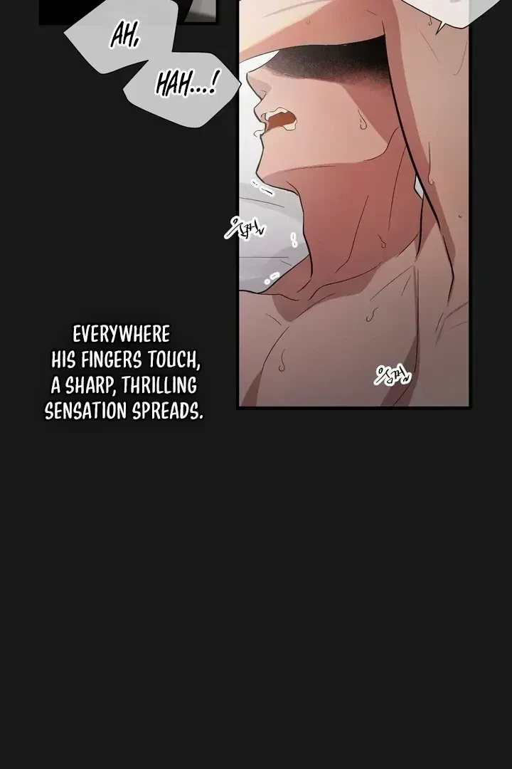 Chapter 1.4, page 3