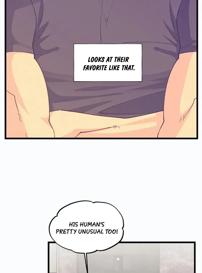Chapter 7, page 74