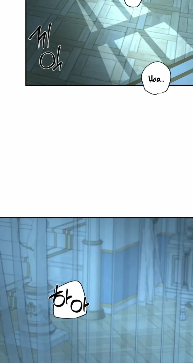Chapter 2.1, page 66