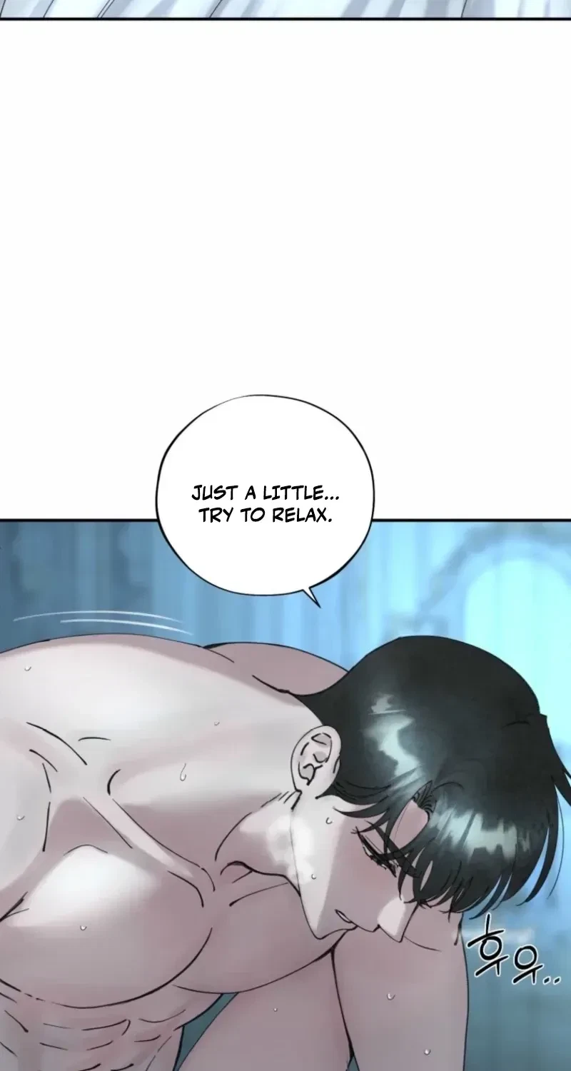 Chapter 2.1, page 68