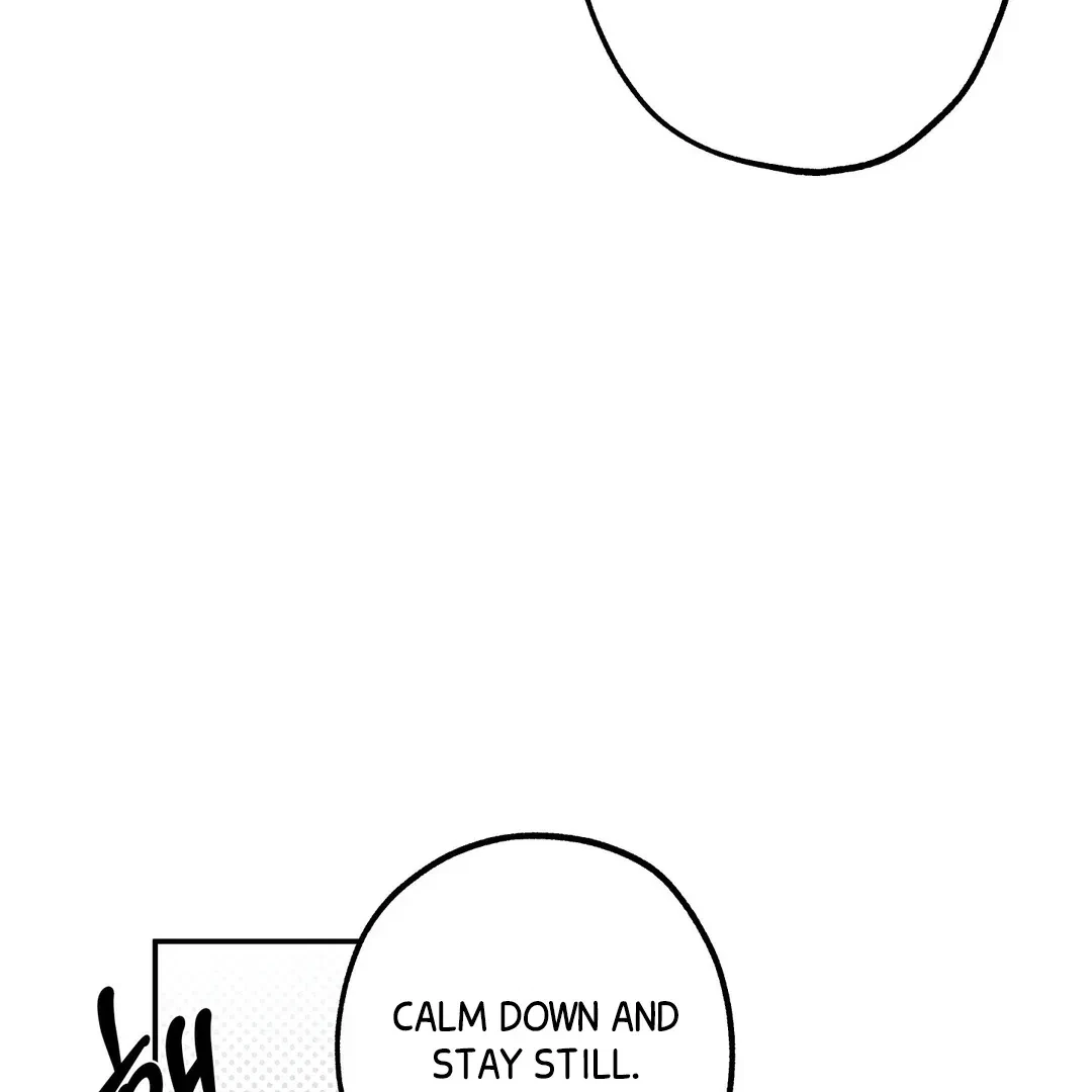 Chapter 2, page 90
