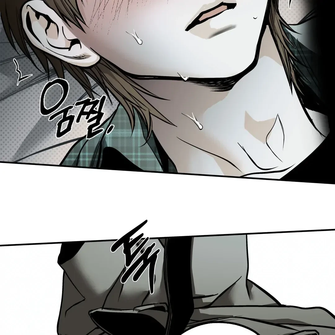 Chapter 2, page 95