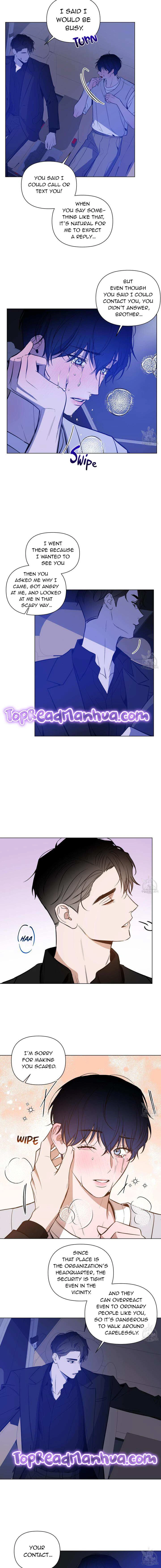 Dawn After Darkness Chapter 29, page 3