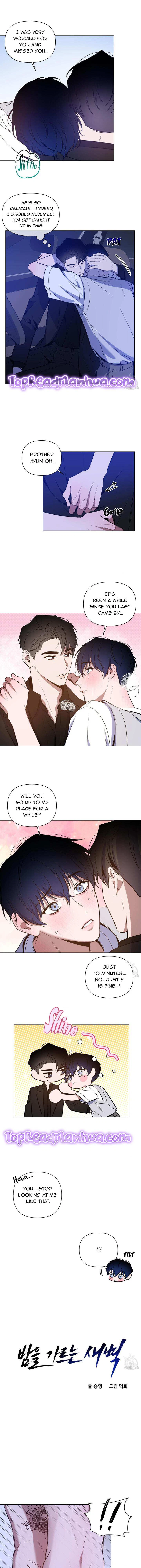 Dawn After Darkness Chapter 29, page 5