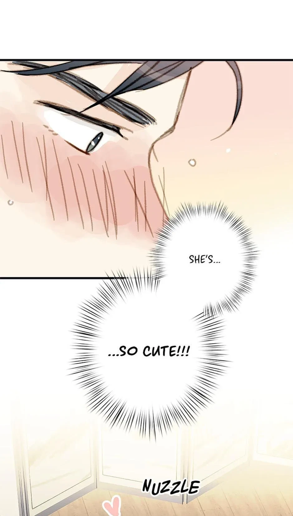 Chapter 2.1, page 43