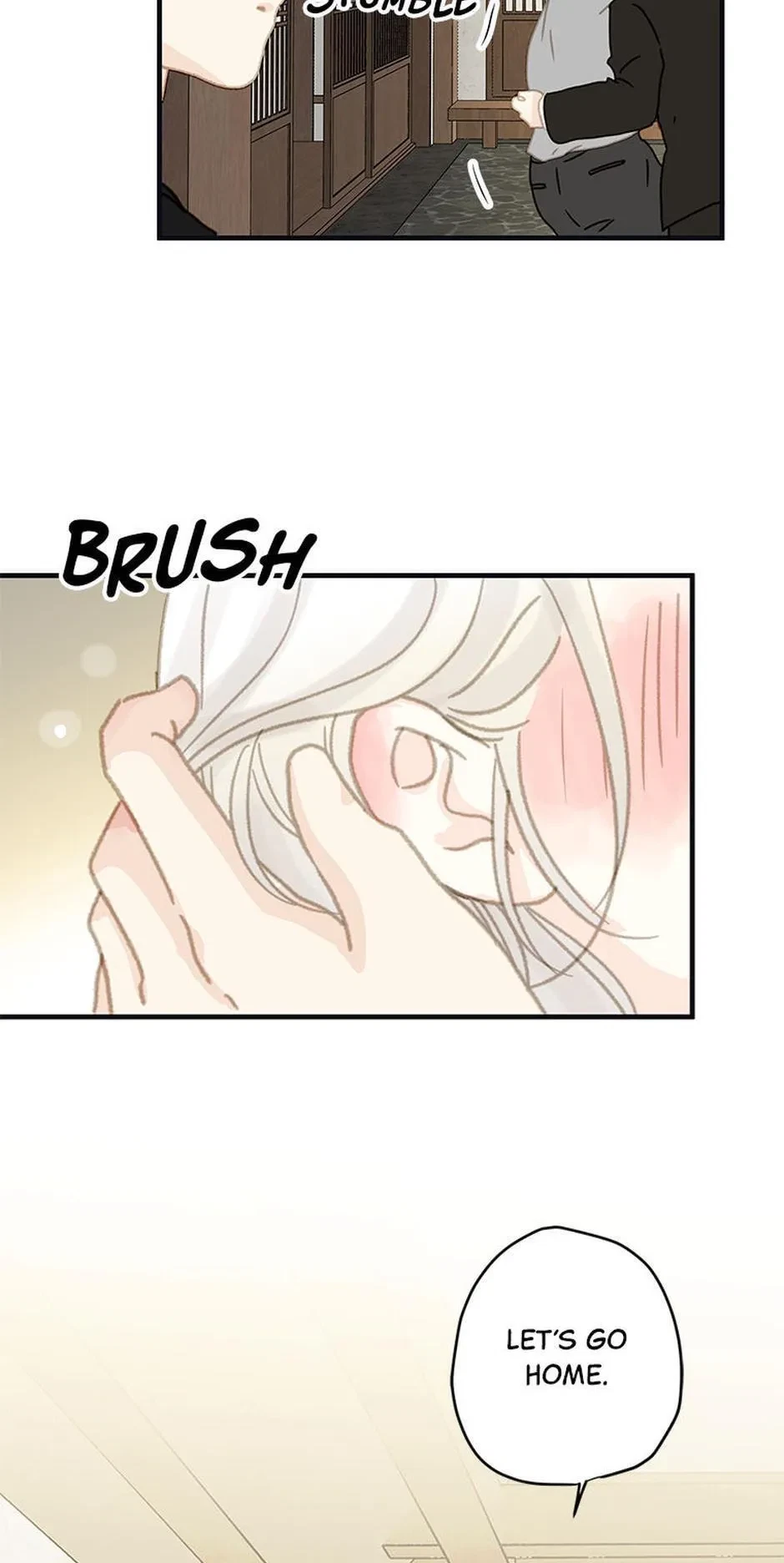 Chapter 2.1, page 47