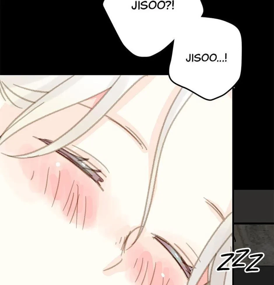 Chapter 2.1, page 74