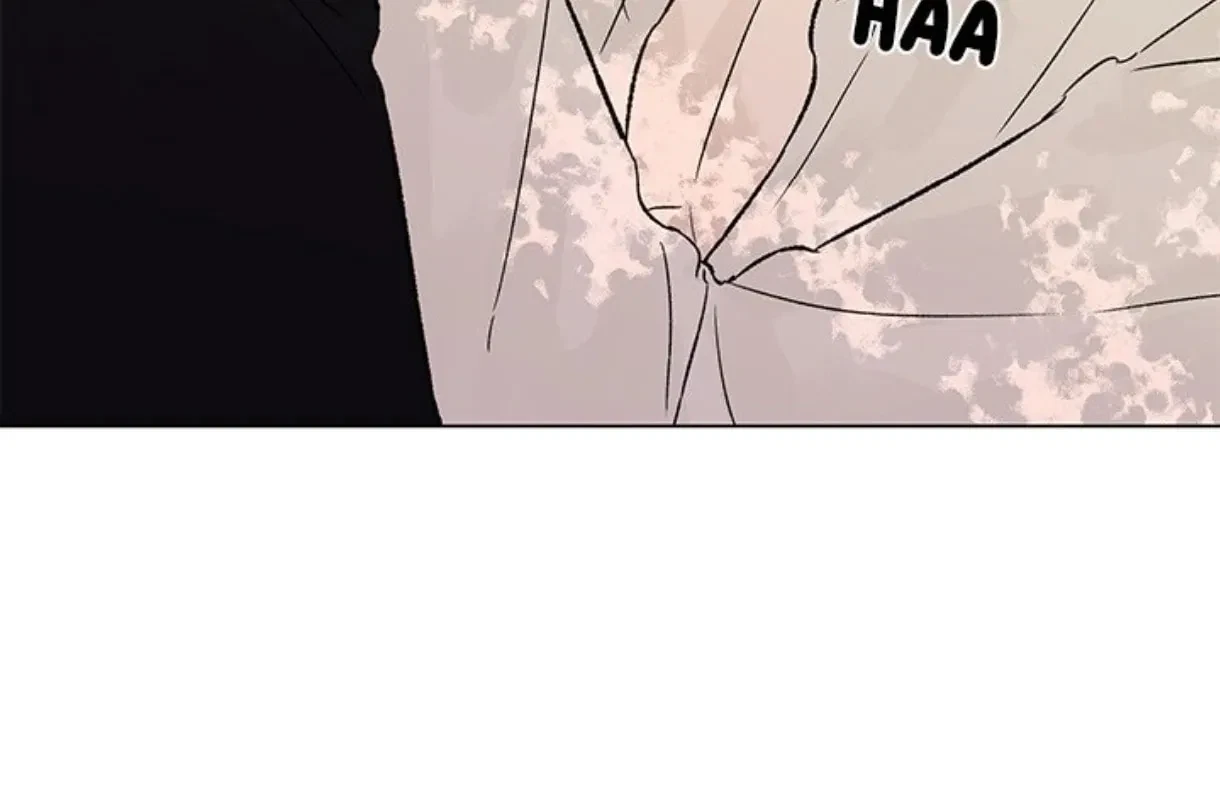 Chapter 3.1, page 44