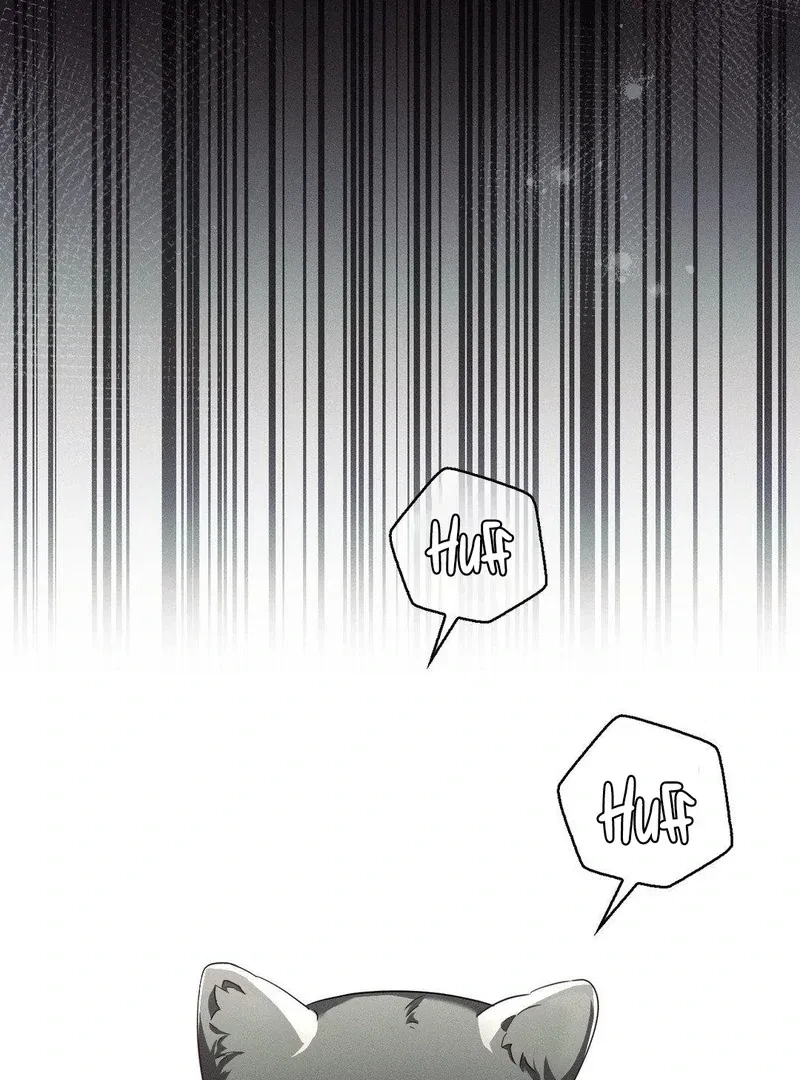 Chapter 15, page 71