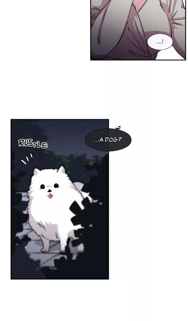 Chapter 48, page 31