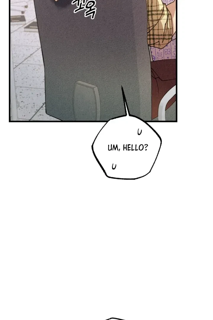 Chapter 2, page 33