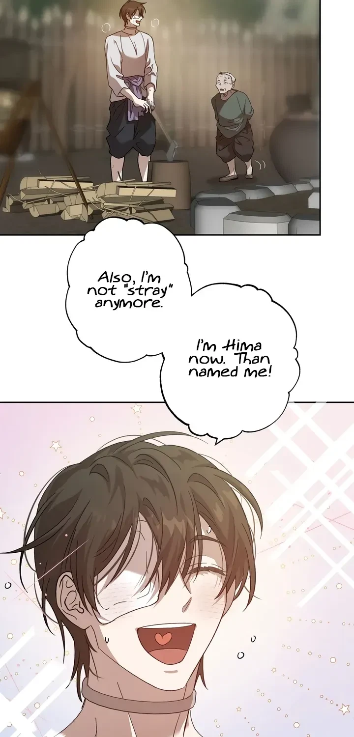 Chapter 3, page 12