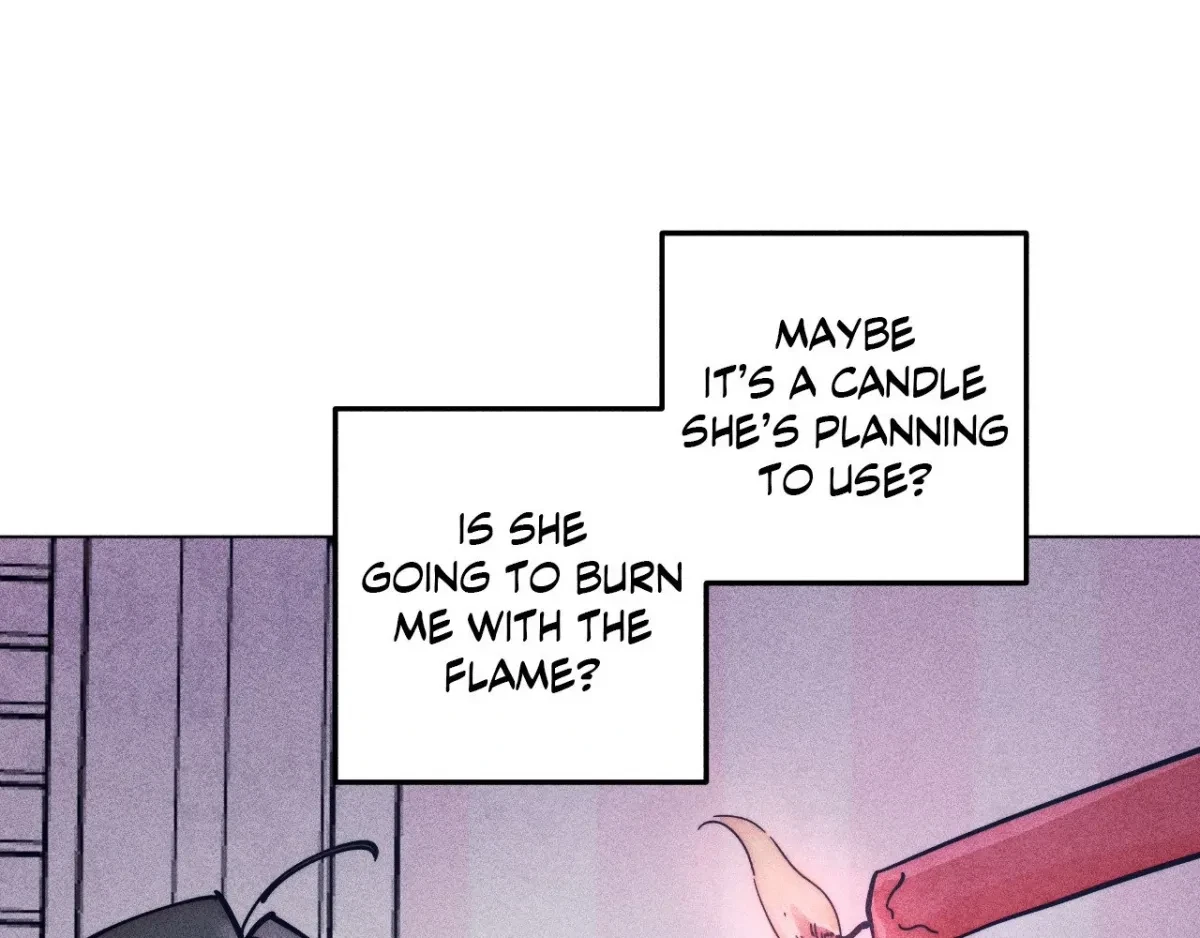 Chapter 5, page 127