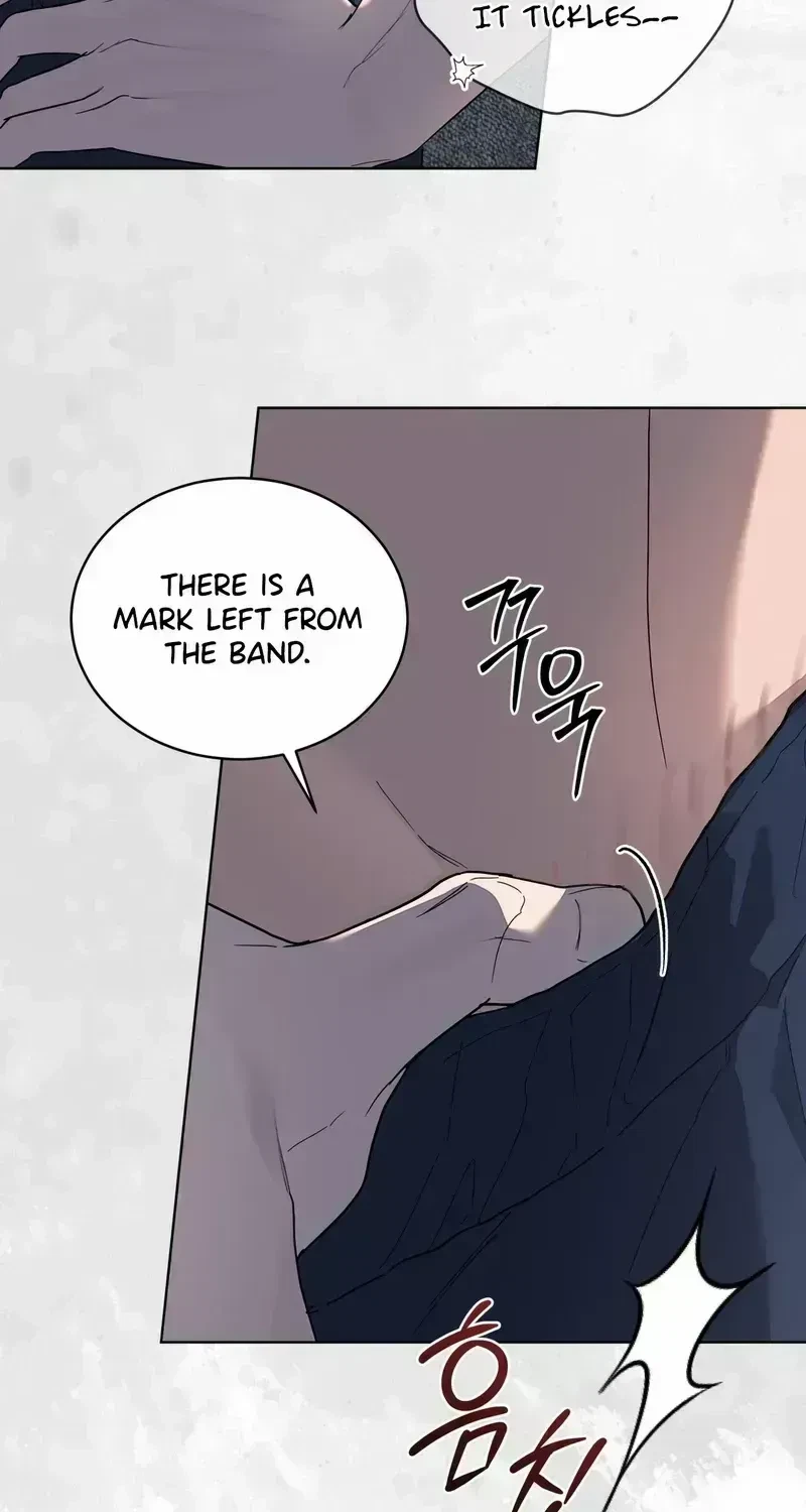 Chapter 1.6, page 66