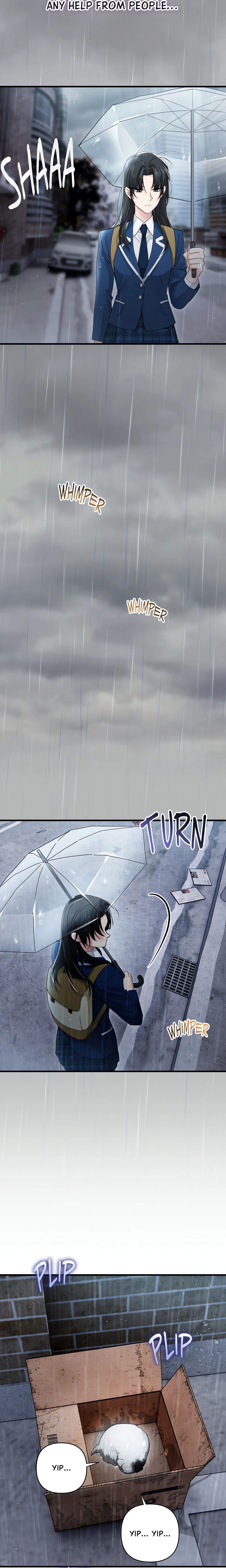 Chapter 13, page 12