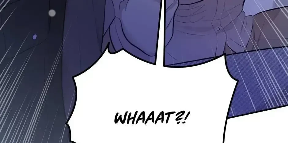 Chapter 2.3, page 136