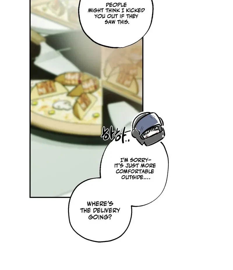 Chapter 1, page 29