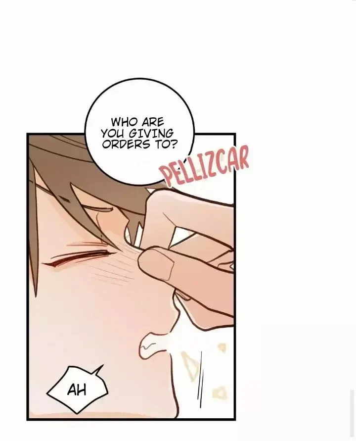 When Pear Blossoms Bloom Chapter 20, page 48