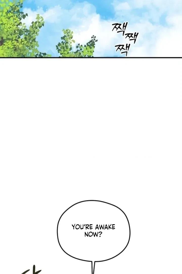 Chapter 2, page 26