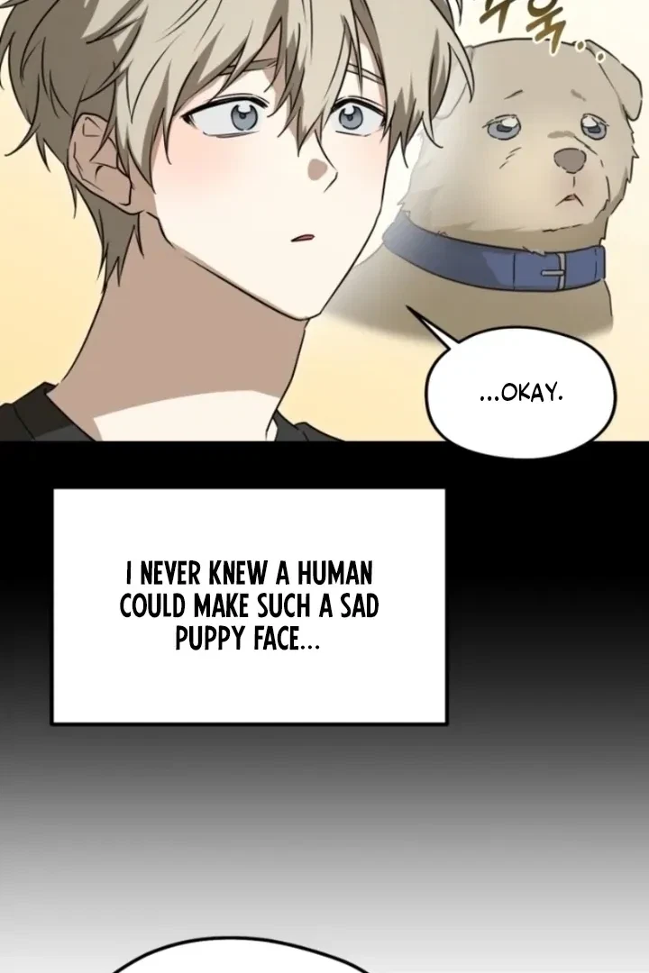 Chapter 2, page 50