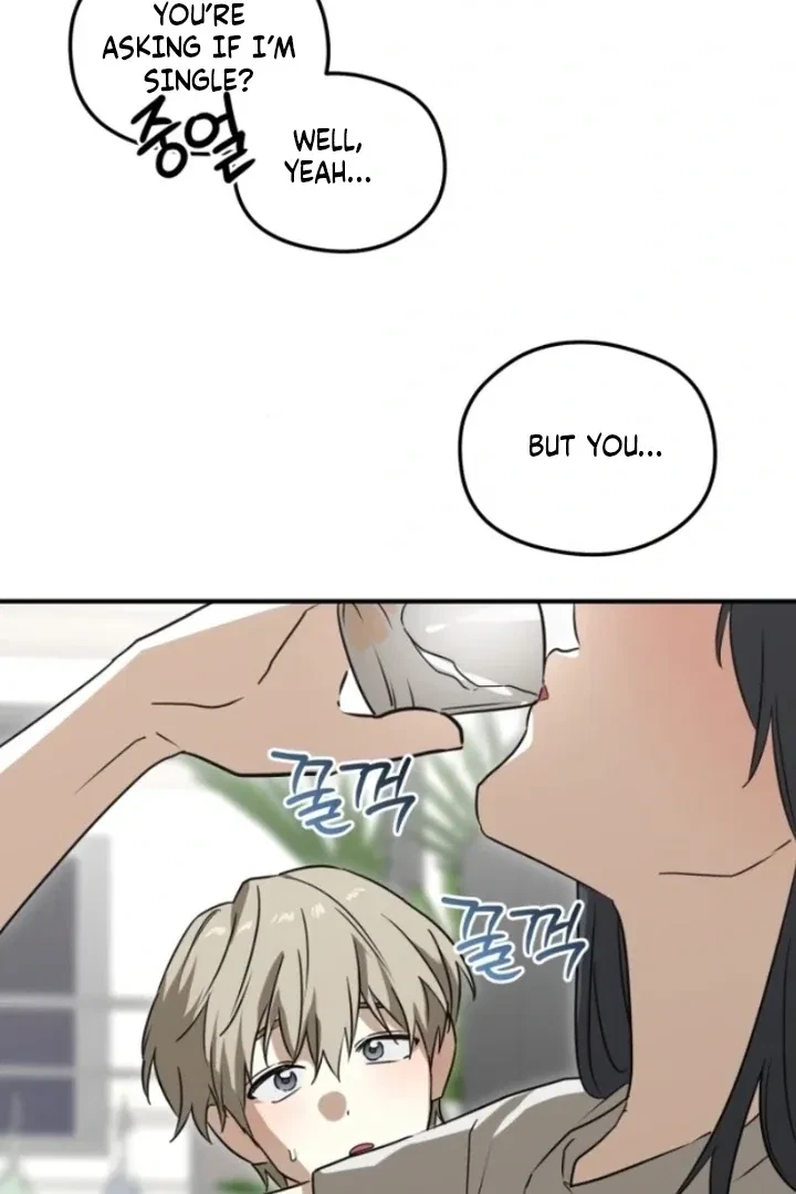 Chapter 2, page 65