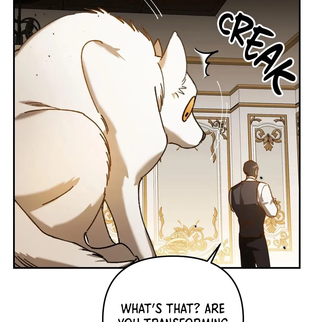 Chapter 11, page 164