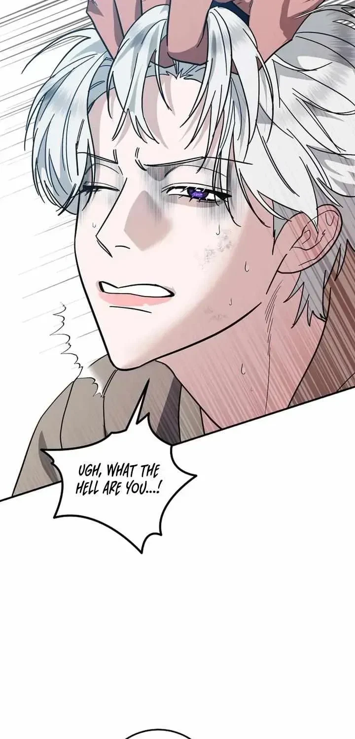 Chapter 1.2, page 47