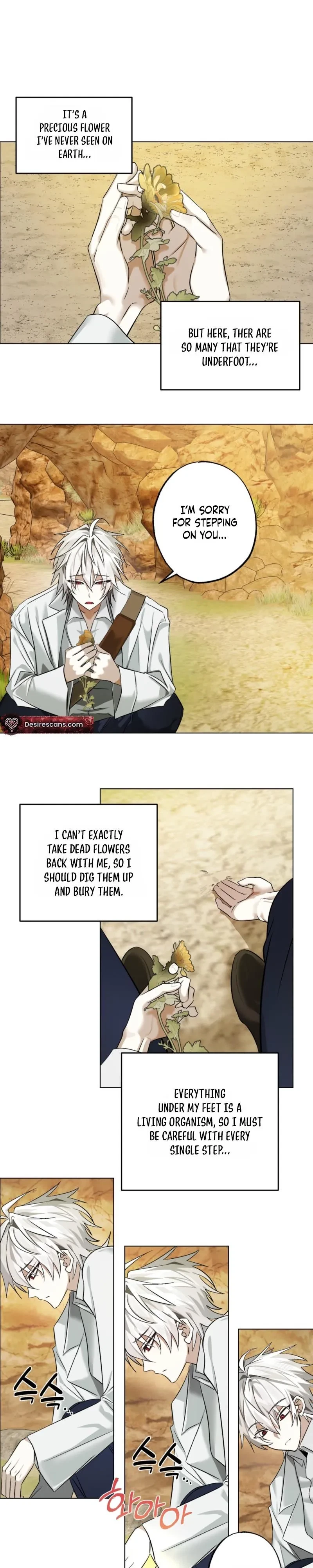 Chapter 3, page 12