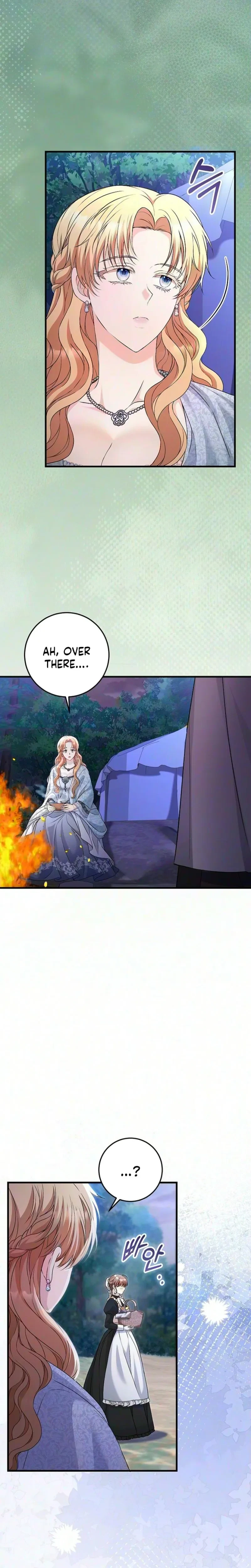 The Covert Of The Countess Chapter 35, page 15