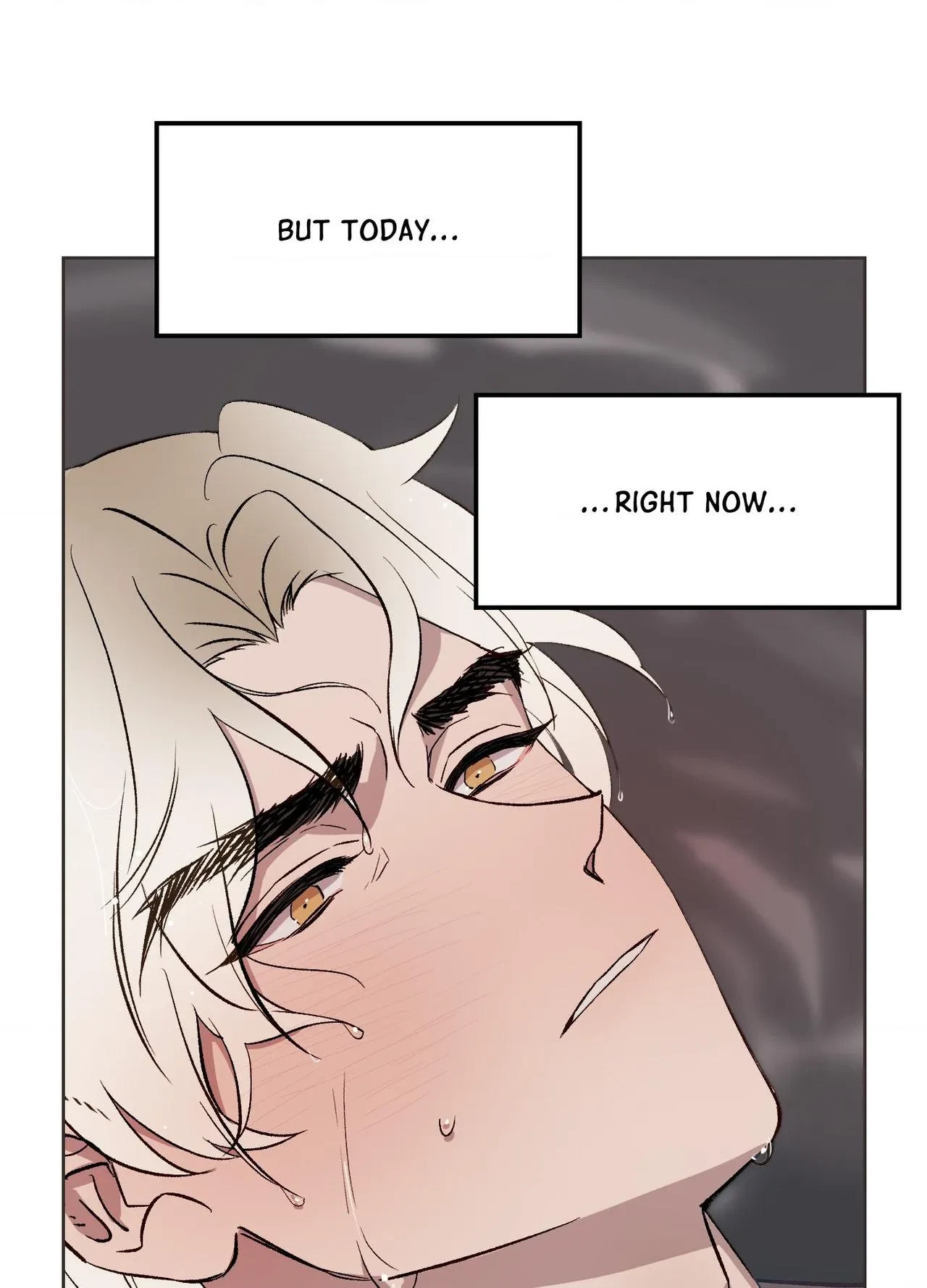 The King Of White Tigers Chapter 27, page 94