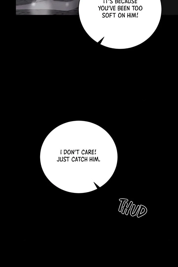 Chapter 5, page 13