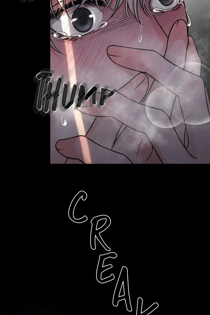 Chapter 5, page 15